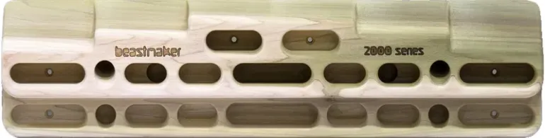 Beastmaker 2000 Series Fingerboard