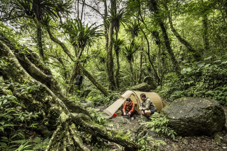 Fjallraven Abisko Lite 3 Tent - Pine Green