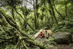 Fjallraven Abisko Lite 2 Tent - Pine Green