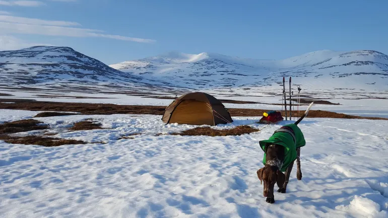 Hilleberg Allak 3 Tent - Green