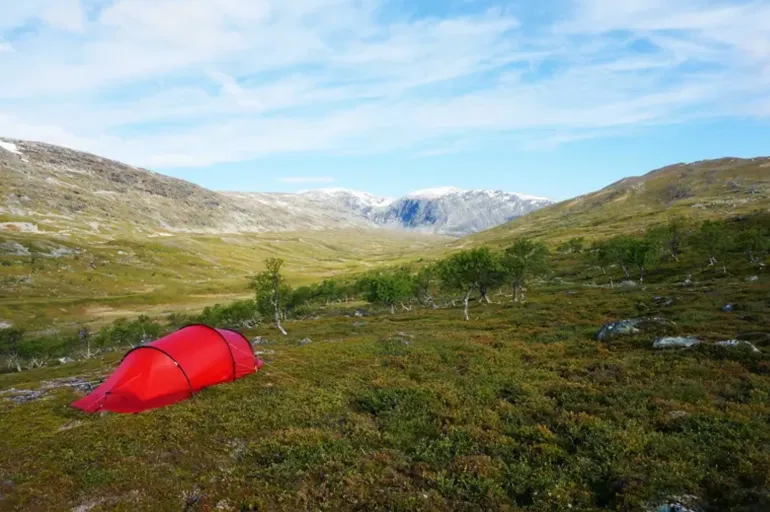 Hilleberg Anjan 3 GT Tent - Green