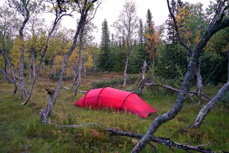 Hilleberg Anjan 2 GT Tent - Green