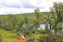 Hilleberg Enan Tent - Green