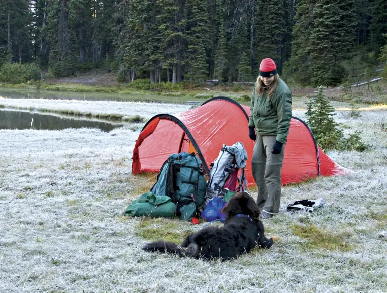 Hilleberg Nallo 2 GT Tent - Sand