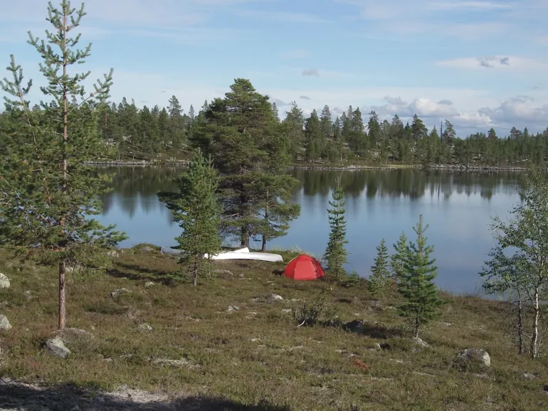 Hilleberg Soulo Tent - Green