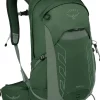 Osprey Talon 22 Rucksack - Green Canopy-Pine Leaf