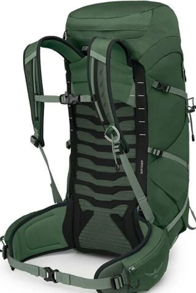 Osprey Talon 33 Rucksack - Green Canopy-Pine Leaf