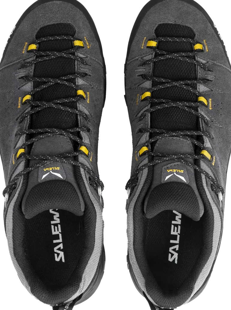 Salewa Mens Alp Trainer 2 GTX Shoes - Onyx-Black